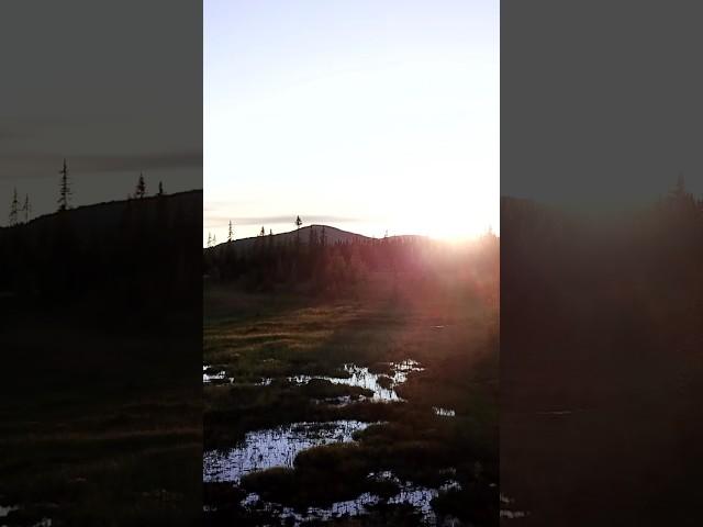 Last Glow on Nordic Wilderness #nature #soundscape #sunset