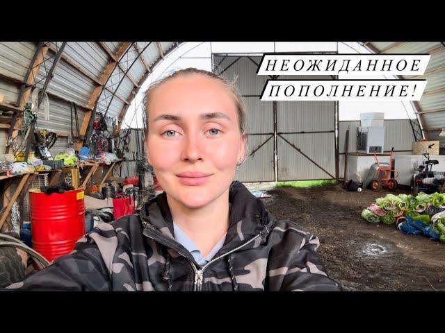 Как мы всей семьей в полях работаем, да и на ферме еще успеваем! Сею первое поле сама!