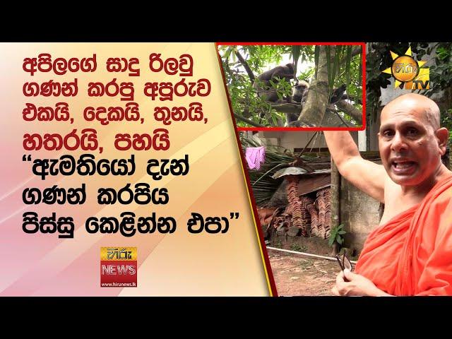 අපිලගේ සාදු රිලවු ගණන් කරපු අපූරුව ''ඇමතියෝ දැන් ගණන් කරපිය...පිස්සු කෙළින්න එපා'' - Hiru News