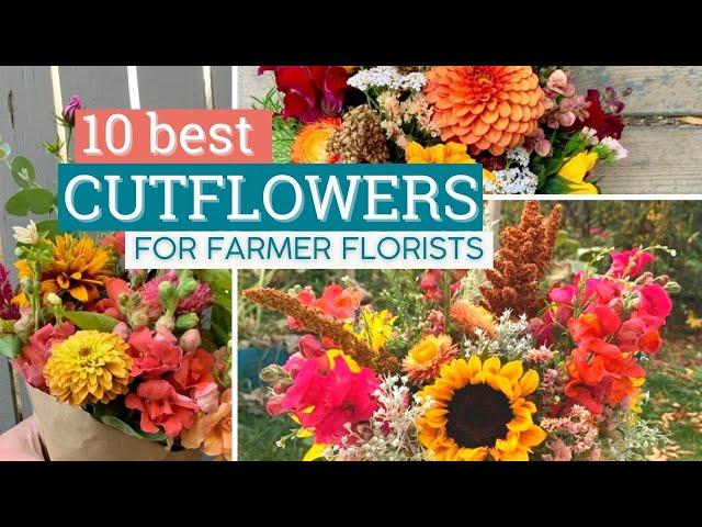 Top 10 Cut Flowers