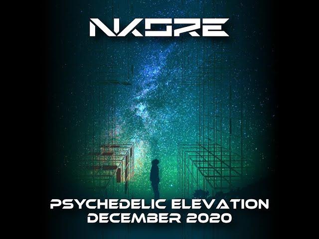 Psychedelic Elevation December 2020 - DJ Mix by N-kore