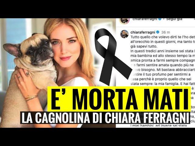 È MORTA MATI: LA CAGNOLINA DI CHIARA FERRAGNI. IL TRISTISSIMO ANNUNCIOIO POCO FA