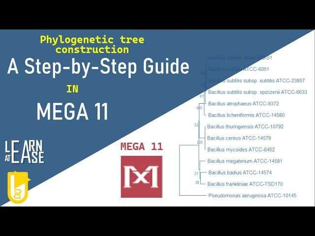 How to Construct a Phylogenetic Tree in MEGA 11: A Step-by-Step Guide