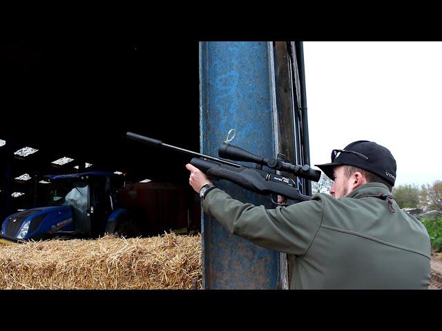 The Airgun Show – Feral pigeon and dove shoot, PLUS the special edition Daystate Genus…