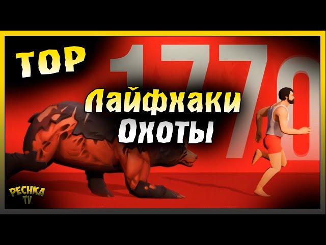 Охотничий инстинкт и ТОП Лайфхаки | Секретное оружие охотника | Last Day on Earth: Survival