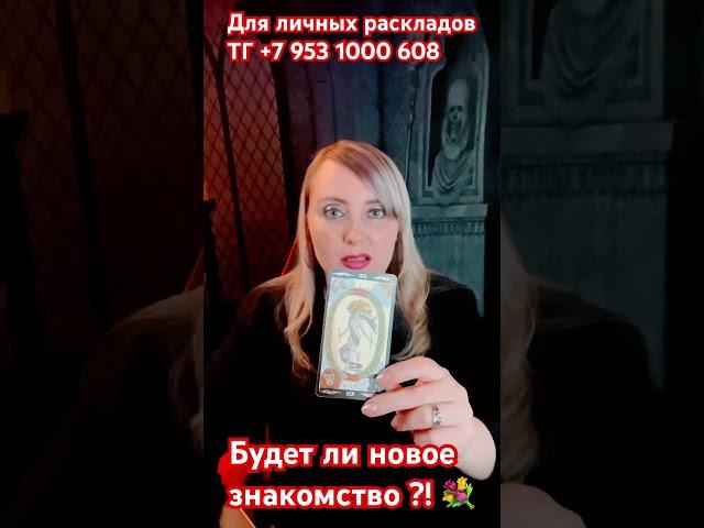 Будет ли новое знакомство?! Надежда Варго