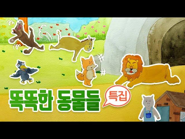 [동화책 모음집] 똑똑한 동물들 특집 동화 / 중간광고 없는 동화