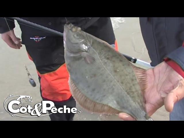 Les poissons plats de la fameuse digue carnot, Boulogne sur Mer.