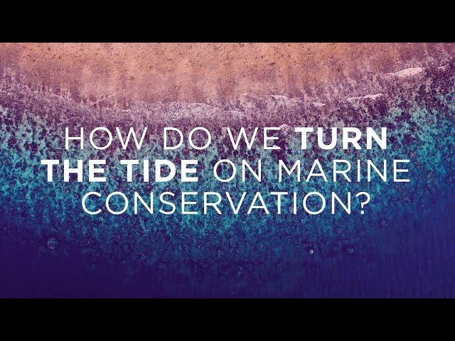 How do we turn the tide on marine conservation?