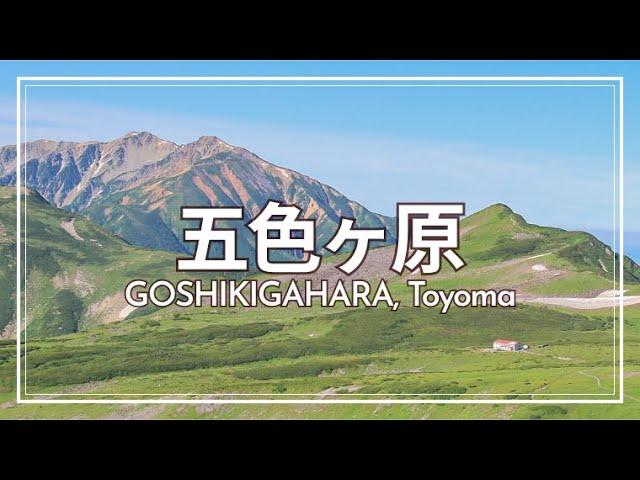 【7月下旬】五色ヶ原山荘1泊2日｜室堂→ミクリガ池→浄土山→龍王岳→獅子岳｜ Goshikigahara, Tateyama【SUB/旅VLOG/アフレコ】