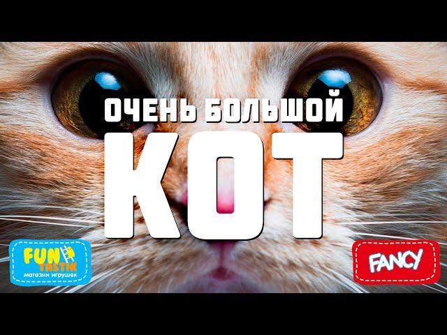 Кот-подушка, кот-игрушка, КОТИК-ЛЕЖЕБОКА от компании FANCY