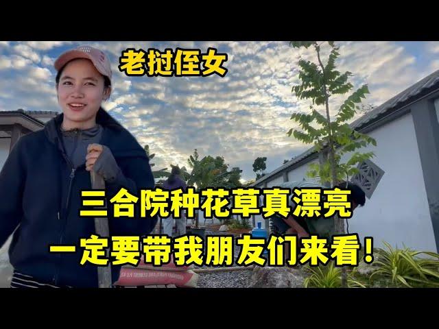 三合院種上花草漂亮極了，老撾侄女贊嘆不已：必須向朋友們炫耀！