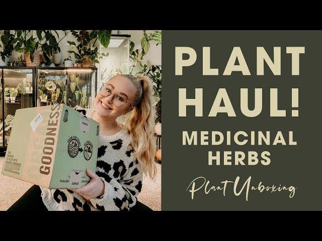 Not Your Typical Plant Unboxing | Medicinal Herbs Haul | Mountain Rose Herbs