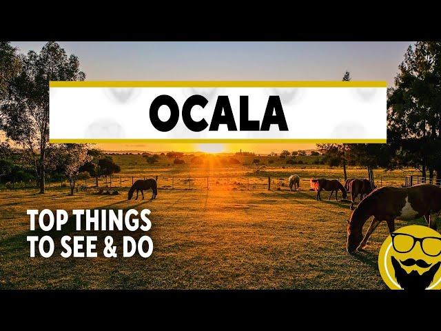 Top Things to See & Do in Ocala, Florida