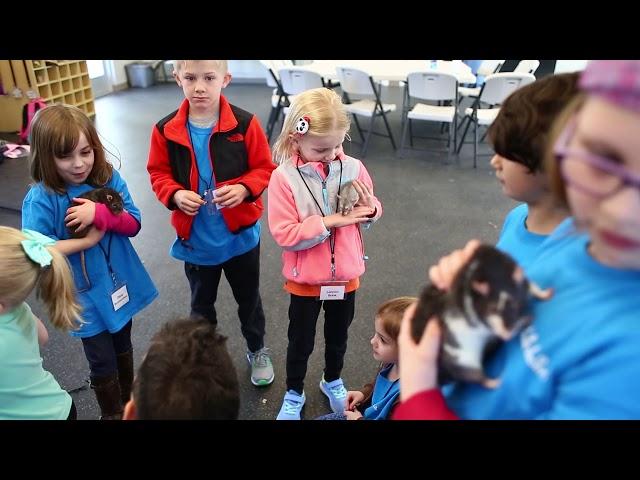 Kids learn patience and empathy for animals at Spark Spring Break Camp