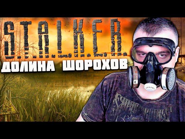 ПОЛНОЕ ПРОХОЖДЕНИЕ Stalker Долина Шорохов Gunslinger