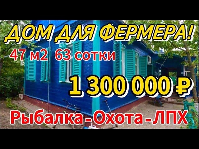 Цена ниже!‍ ДОМ ДЛЯ ФЕРМЕРА! 47 м263 сотки водасвет1 400 000 ₽хутор Григорьевка89245404992