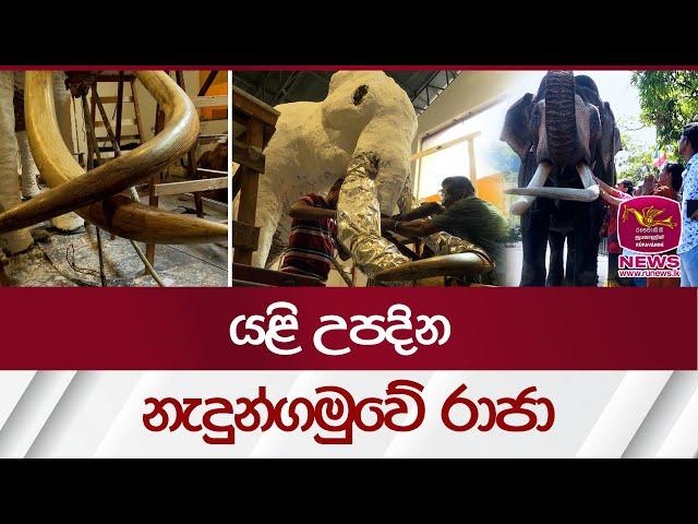 යළි උපදින නැදුන්ගමුවේ රාජා | Nadungamuwe Raja  | Elephant SriLanka | Rupavahini News