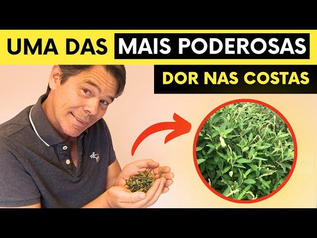 Incrível Erva para Artrose, Dor nas Costas, Fibromialgia, Artrite - COMO USAR | Marcelo Garcia