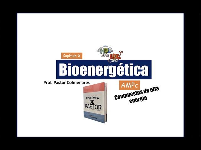 AMPc | Bioenergética parte XI