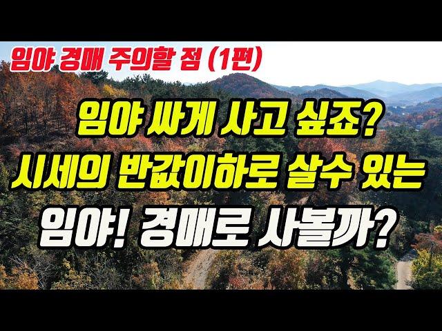 (경매상식1편) 싸고 좋은땅 찾나요? 임야매매 대신 임야경매 볼 때 주의할 점(산지경매 어렵지 않아요)
