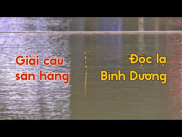 Câu Cá Giải Săn Hàng Độc Lạ Bình Dương