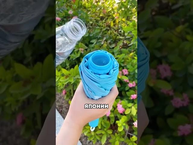Япония живет в 2050 