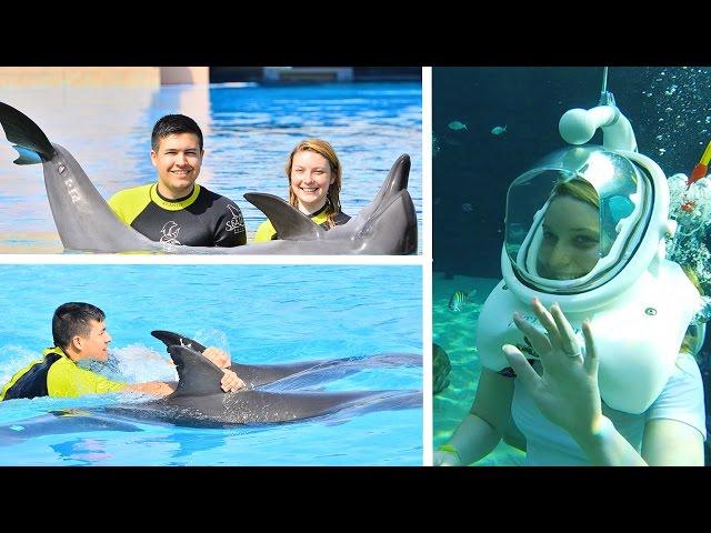 SWIMMING WITH DOLPHINS AND WALKING WITH SHARKS...!!!