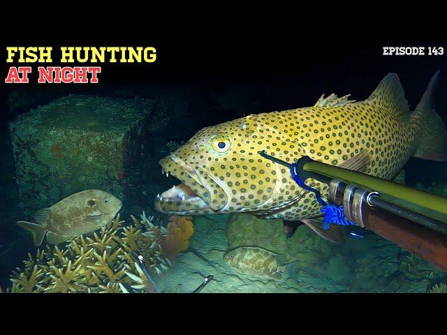 NIGHT SPEARFISHING EPISODE 143 | FISH HUNTING AT NIGHT