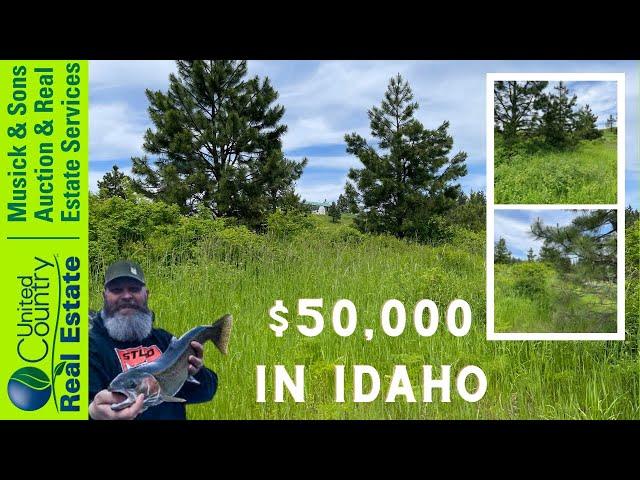 SOLD! Land for sale priced at $50,000 in Kamiah, Idaho SOLD!