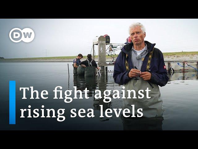 Climate change in the Netherlands - Pioneering coastal management | DW Documentary