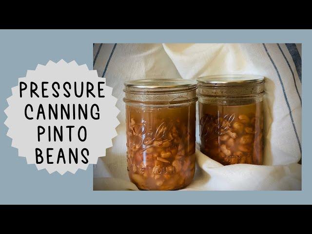 Stocking Your Pantry By Pressure Canning Pinto Beans | Food Storage | For Beginners