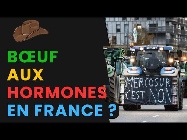 Mercosur : Le Traité Qui Va Détruire (ou Sauver ?) Nos Éleveurs !