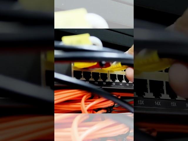 Network cable connect to switch #switch #network #cable #shorts #shortvideo