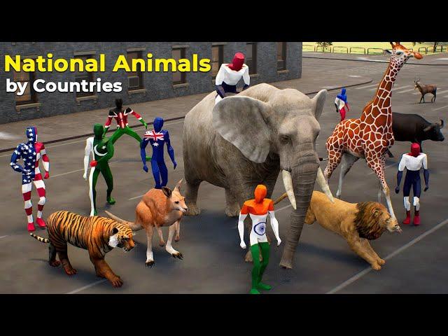 National Animal By different countries | #nationalanimal 2025