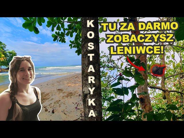 Darmowy Park w Kostaryce, Plaże Karaibskie, Leniwce Kostaryka | Ameryka Środkowa