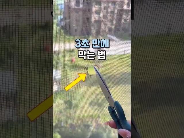 3초 만에 막는 법 #살림템 #여름필수템 #생활용품 #방충망