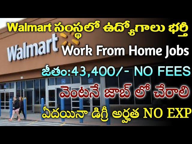 Walmart Work From Home Jobs | Latest Private Jobs in Telugu | Freshers Jobs | Jobs Guruvu