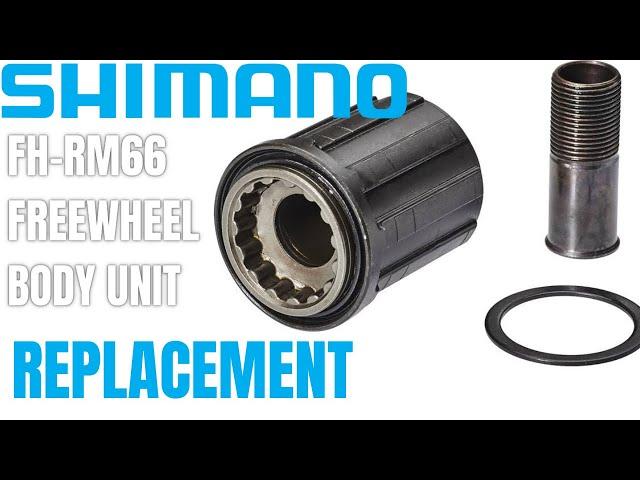 How to replace SHIMANO FREEHUB BODY ? Quick Tutorial #freehub #drivetrain #mtb