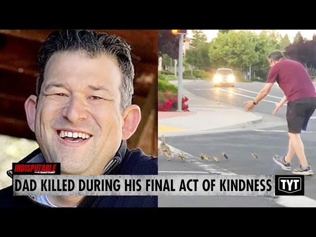 Dad Helps Ducklings Cross Road, Gets Killed By Teen Driver