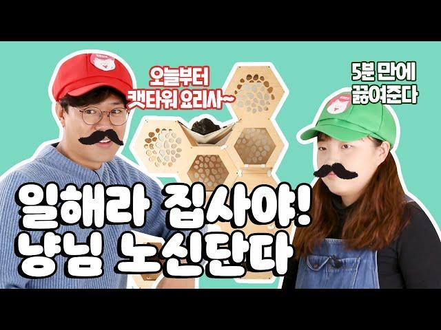 캣타워 조립 어렵다고? 미야옹철과 펫프만 따라와요~│ep.1 몬도미오 벌집캣타워