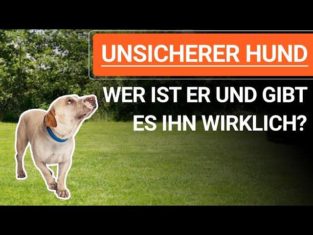  Was bedeutet UNSICHERER HUND und gibt es ihn wirklich? ️ Erklärvideo ️