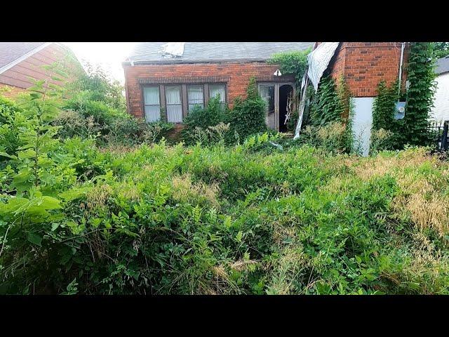 SHOCKING Transformation On This CRAZY OVERGROWN Lawn