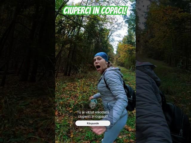 Ciupercile cresc în COPACI? #natura #funny #green #comedie