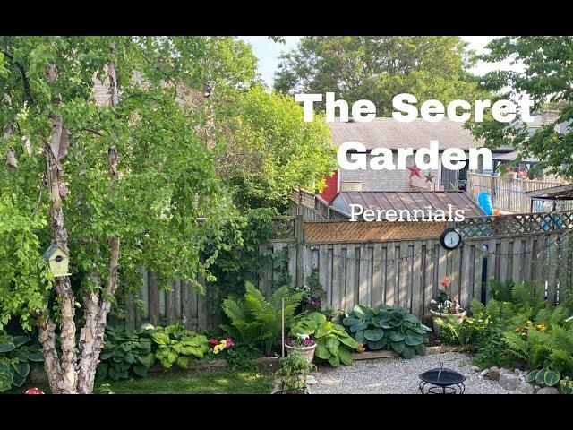 The Secret Garden: Perennials in South Western Ontario Canada