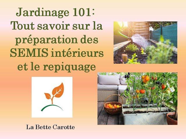 Jardinage 101 pour débutants : tout savoir sur la préparation des semis intérieurs et le repiquage