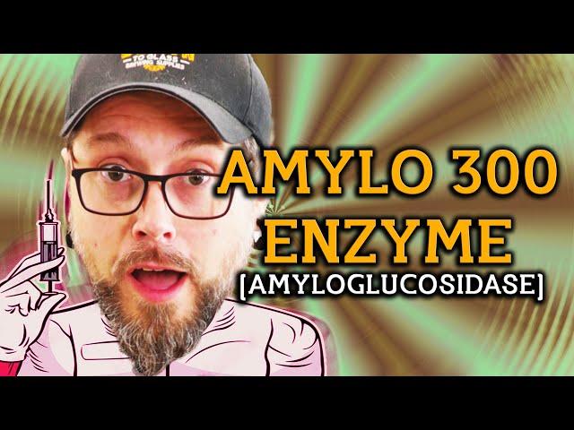 Revolutionize Your Homebrew with Amylo300: The Secret to Crafting Low Carb And Dry Beers