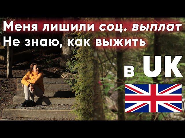 Соц.помощь в UK. Возможно ли на неё выжить. Точные цифры | Homes for Ukraine