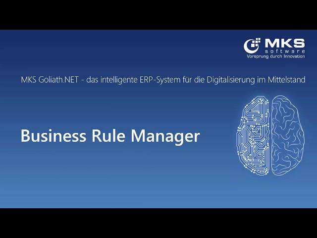 Business Rule Manager für Artikel & Warengruppen im ERP-System