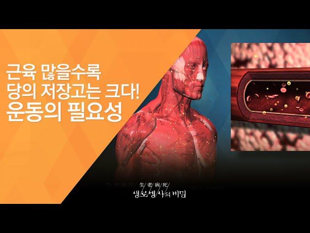 근육 많을수록 당의 저장고는 크다! 운동의 필요성 - (2016.10.5_596회 방송)_고기에 대한 오해와 진실